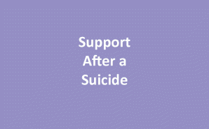Support after a suicide